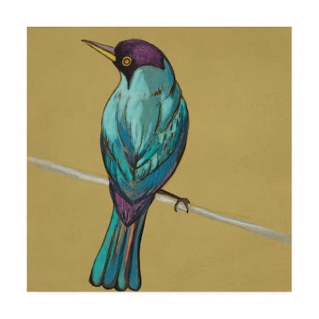Trademark Fine Art